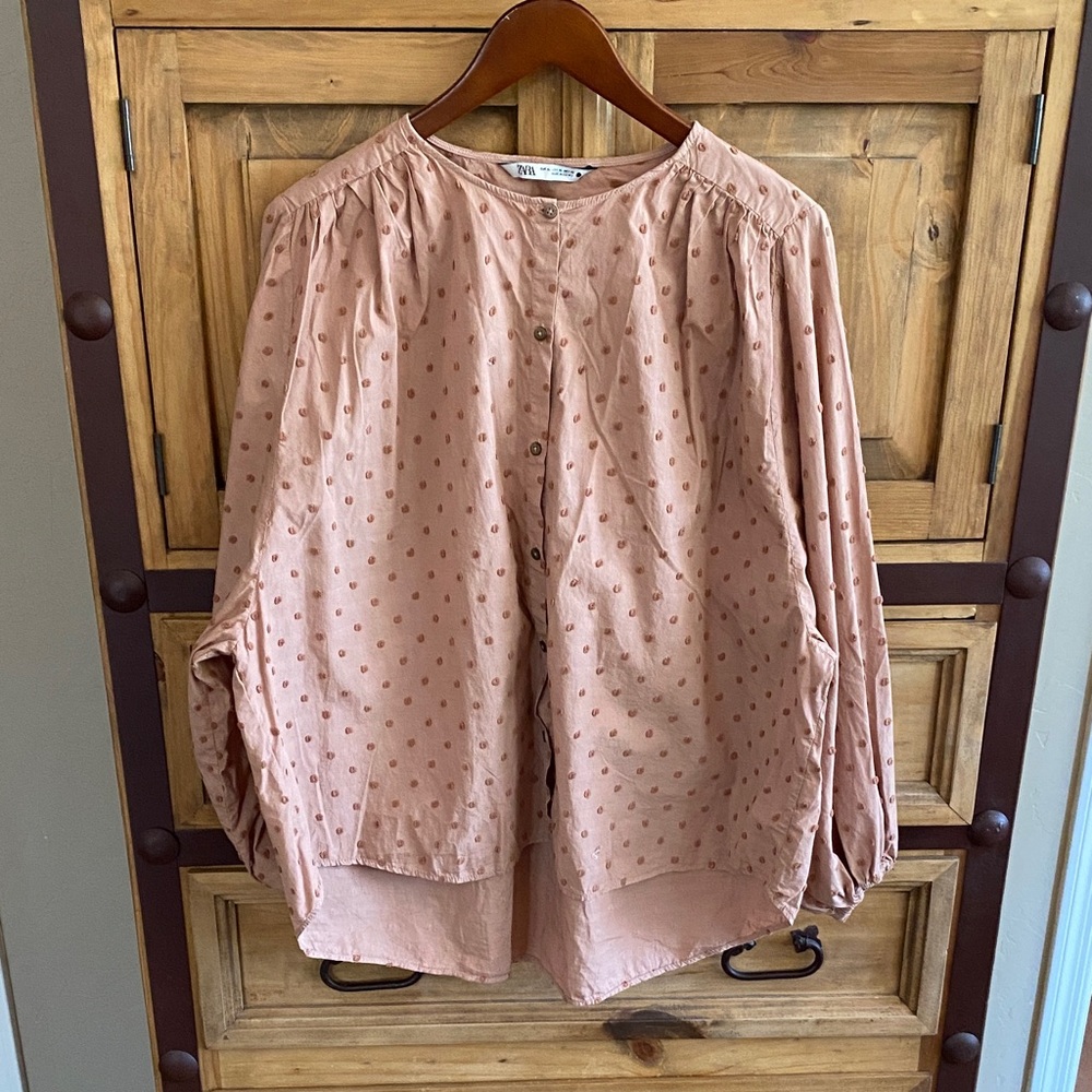 Zara Dusty Rose Button-Up Blouse